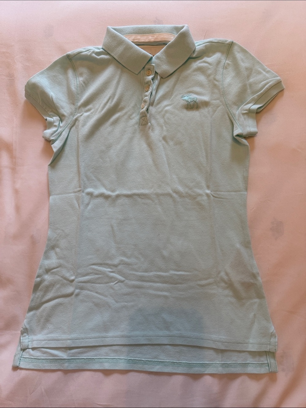 Abercrombie & Fitch Women's Polo - Pale Mint